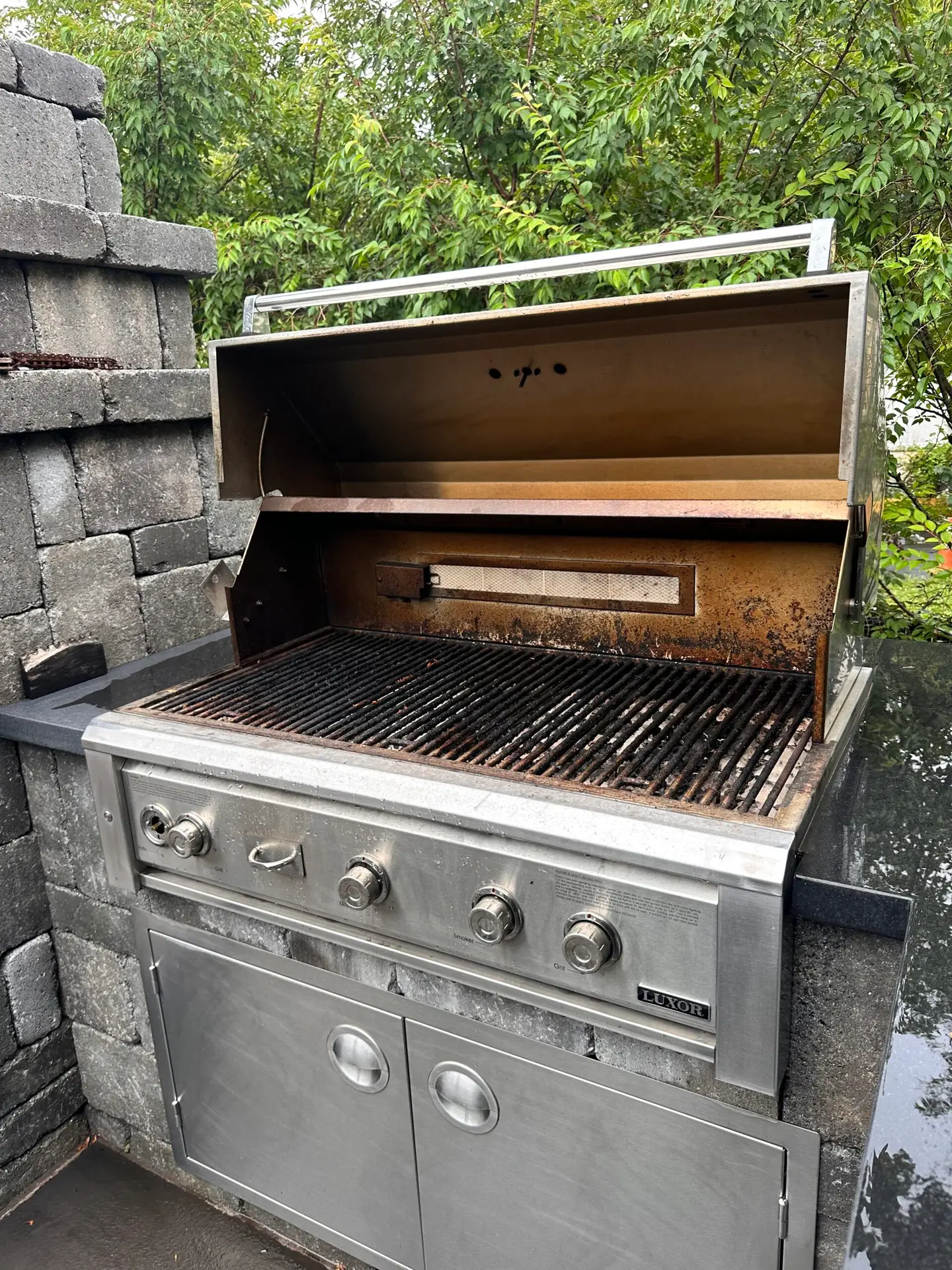 Before — dirty grill